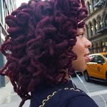 agentshanshan profile picture