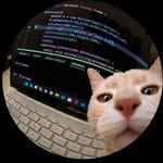 aghilesniche profile picture