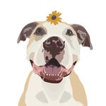 agirlandherpibble profile picture