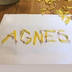 agnescosta profile picture