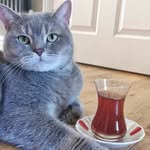 agnesmloya profile picture