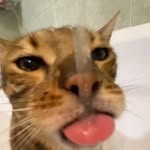 agngtrndptr21_ profile picture