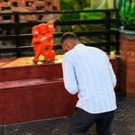 agriculturist_aditya_singh1000 profile picture