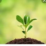 agri__tutorial_00001 profile picture