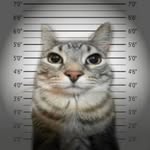 ahd.aryannn profile picture