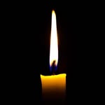 ahimsa.santuariovaledarainha profile picture