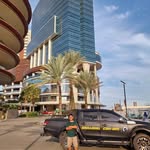 ahmad_teddy2 profile picture