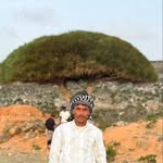 ahmed_alsocotri profile picture
