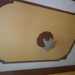 ahmeddib_cs profile picture