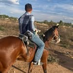 ahmedpg_ profile picture