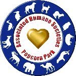 ahscares profile picture