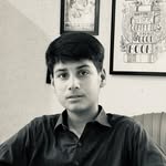 ahteshamhussain243 profile picture