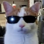 aidant232 profile picture