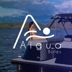 aigua_botes profile picture