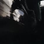 aijanipayne profile picture