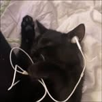 ailagato profile picture