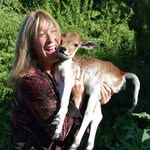 aimeesfarmanimalsanctuary profile picture