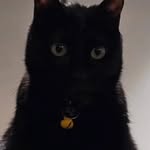 aintyour_gurl90 profile picture