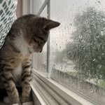 ainyomar22 profile picture