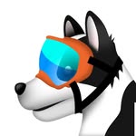 airportk9 profile picture