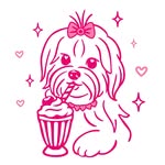 airpupshake profile picture