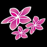 airrarotonga profile picture