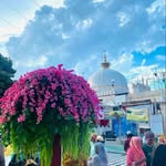aisha.khan.b00 profile picture