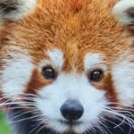 ajaxxavior profile picture