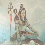 ajay284782 profile picture