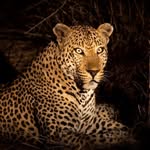ajay66507 profile picture