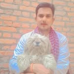 ajaybaba29891 profile picture