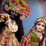 ajay_chauhan3508 profile picture