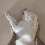 ajay_kamaleshwaran profile picture