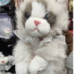 akbal9205 profile picture