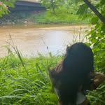 akedatashh profile picture