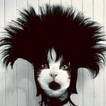 akemi_kishida profile picture