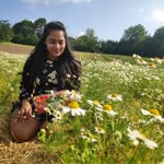akhila5206 profile picture
