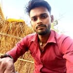 akhileshnishad1919 profile picture