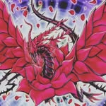 akizacollector profile picture