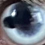 akram.shah profile picture