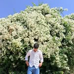 akshay_pundhir0819 profile picture