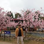 akunbandung7 profile picture