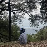 al.zeff46 profile picture