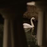 al__jawahir7663 profile picture