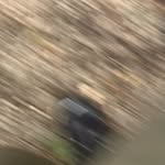 al_jstone profile picture