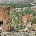 al_mudhairib profile picture