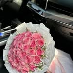 al_yy139 profile picture