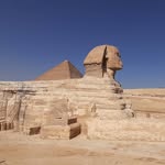alaa_tour_guide profile picture