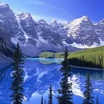 alamjeet_singh_sodhi profile picture