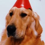 alanjlofan profile picture
